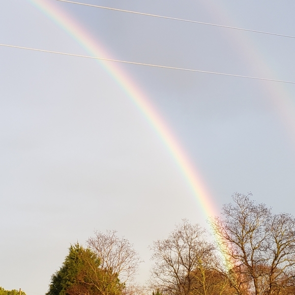Meet your Posher, Whispering - Picture 6 of 8